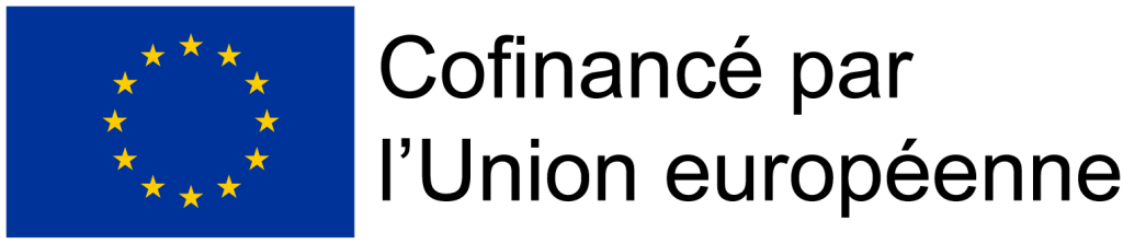 Logo emblème Union Européenne FSE